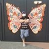 willopr